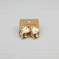 Irregular stainless steel earrings