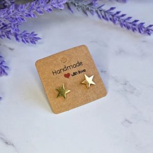 Stainless steel star earrings